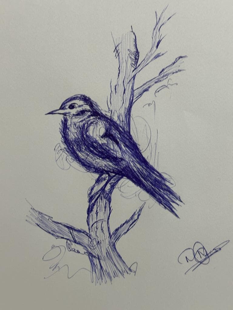 Scribble Bird