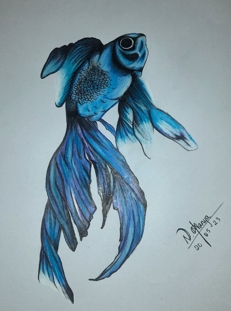 Blue Fish
